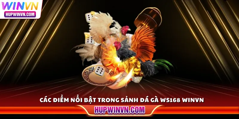 Các điểm nổi bật trong sảnh Đá Gà WS168 Winvn
