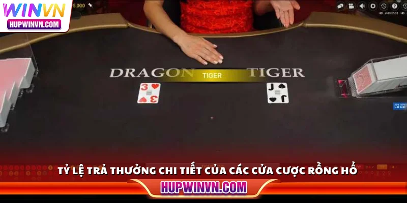 Tỷ lệ trả thưởng chi tiết của các cửa cược Rồng Hổ